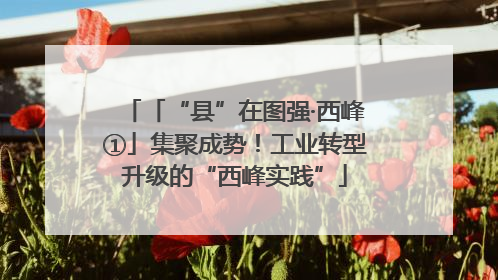 「“县”在图强·西峰①」集聚成势！工业转型升级的“西峰实践”