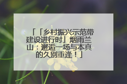 「乡村振兴示范带建设进行时」烟雨兰山：邂逅一场与本真的久别重逢！