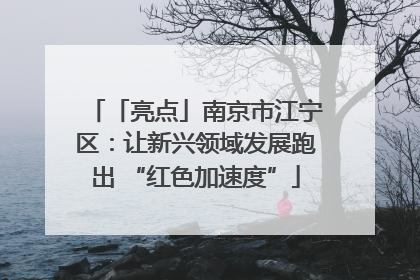 「亮点」南京市江宁区：让新兴领域发展跑出 “红色加速度”