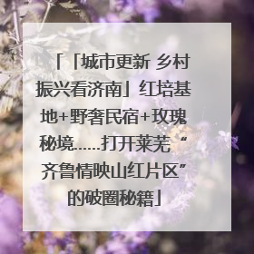 「城市更新 乡村振兴看济南」红培基地+野奢民宿+玫瑰秘境……打开莱芜“齐鲁情映山红片区”的破圈秘籍