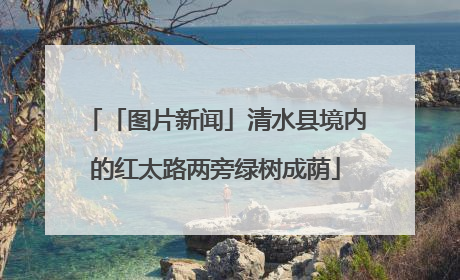「图片新闻」清水县境内的红太路两旁绿树成荫