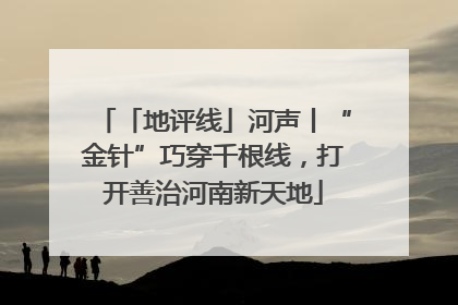 「地评线」河声丨“金针”巧穿千根线，打开善治河南新天地
