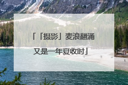 「摄影」麦浪翻涌 又是一年夏收时