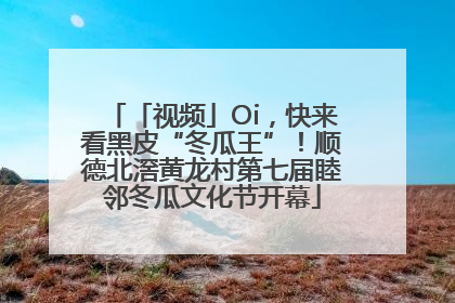 「视频」Oi，快来看黑皮“冬瓜王”！顺德北滘黄龙村第七届睦邻冬瓜文化节开幕