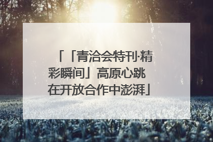 「青洽会特刊·精彩瞬间」高原心跳 在开放合作中澎湃