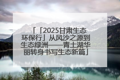 「2025甘肃生态环保行」从风沙之源到生态绿洲——青土湖华丽转身书写生态新篇
