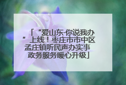 “爱山东·你说我办”上线！枣庄市市中区孟庄镇听民声办实事 政务服务暖心升级