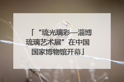 “琉光璃彩—淄博琉璃艺术展”在中国国家博物馆开幕