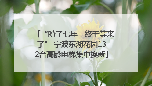 “盼了七年，终于等来了” 宁波东湖花园132台高龄电梯集中换新