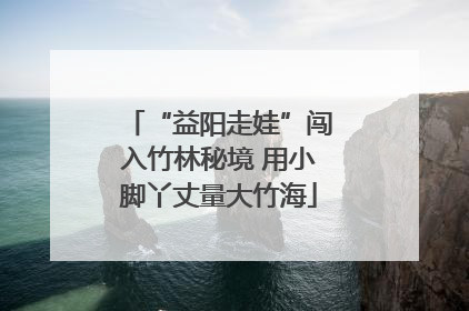 “益阳走娃”闯入竹林秘境 用小脚丫丈量大竹海