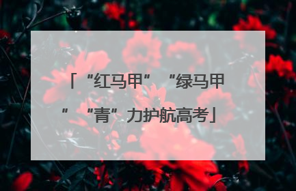 “红马甲”“绿马甲”“青”力护航高考