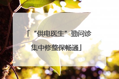 “供电医生”勤问诊 集中修整保畅通