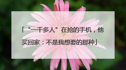 “一千多人”在抢的手机，他买回家：不是我想要的那种