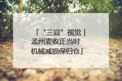 “三夏”视觉｜孟州麦收正当时 机械减损保归仓