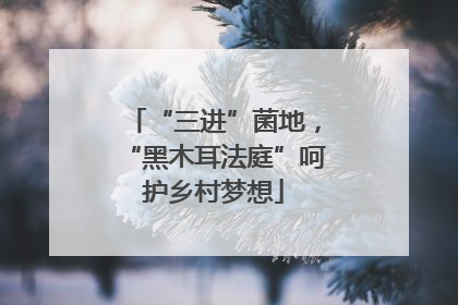 “三进”菌地，“黑木耳法庭”呵护乡村梦想
