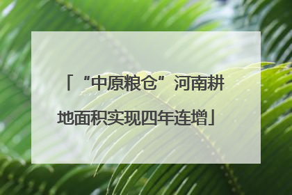 “中原粮仓”河南耕地面积实现四年连增