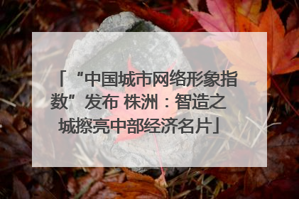 “中国城市网络形象指数”发布 株洲：智造之城擦亮中部经济名片
