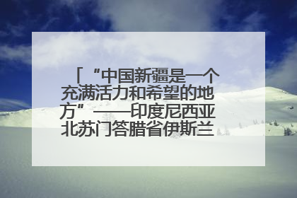 “中国新疆是一个充满活力和希望的地方”——印度尼西亚北苏门答腊省伊斯兰教代表团参访新疆