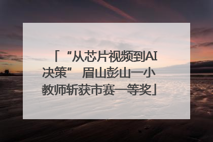 “从芯片视频到AI决策” 眉山彭山一小教师斩获市赛一等奖