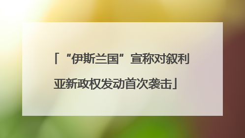 “伊斯兰国”宣称对叙利亚新政权发动首次袭击