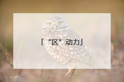 “区”动力
