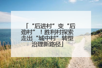 “后进村”变“后劲村”！胜利村探索走出“城中村”转型治理新路径