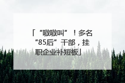 “嗷嗷叫”！多名“85后”干部，挂职企业补短板