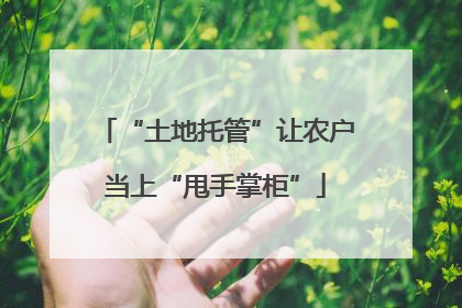 “土地托管”让农户当上“甩手掌柜”
