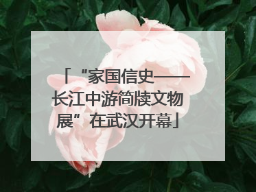 “家国信史——长江中游简牍文物展”在武汉开幕