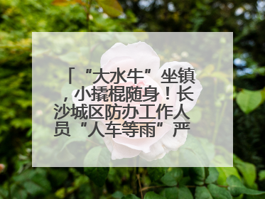 “大水牛”坐镇，小撬棍随身！长沙城区防办工作人员“人车等雨”严阵以待