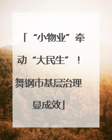 “小物业”牵动“大民生”！舞钢市基层治理显成效