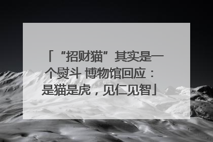 “招财猫”其实是一个熨斗 博物馆回应：是猫是虎，见仁见智