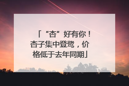 “杏”好有你！杏子集中登鹭，价格低于去年同期
