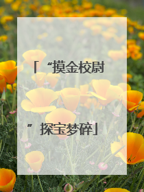 “摸金校尉”探宝梦碎