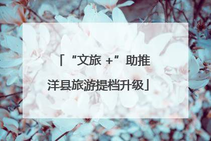 “文旅 +”助推洋县旅游提档升级