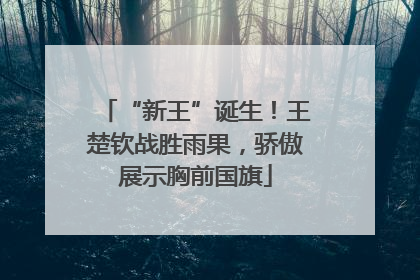 “新王”诞生！王楚钦战胜雨果，骄傲展示胸前国旗