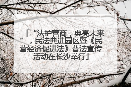 “法护营商，典亮未来”，民法典进园区暨《民营经济促进法》普法宣传活动在长沙举行