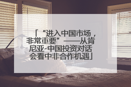“进入中国市场，非常重要”——从肯尼亚-中国投资对话会看中非合作机遇