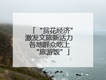 “赏花经济”激发文旅新活力 各地群众吃上“旅游饭”