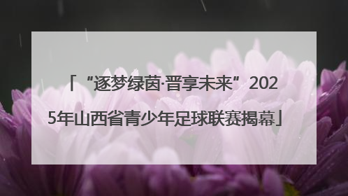 “逐梦绿茵·晋享未来”2025年山西省青少年足球联赛揭幕