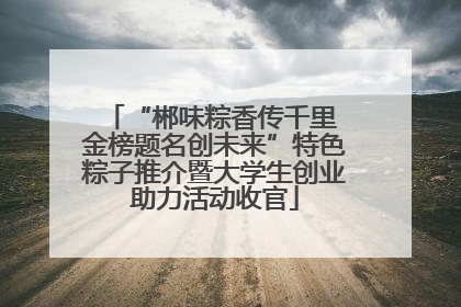 “郴味粽香传千里 金榜题名创未来”特色粽子推介暨大学生创业助力活动收官