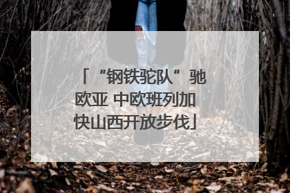 “钢铁驼队”驰欧亚 中欧班列加快山西开放步伐