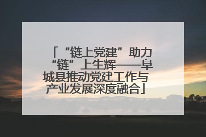 “链上党建”助力“链”上生辉——阜城县推动党建工作与产业发展深度融合