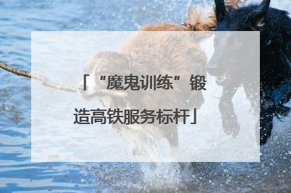 “魔鬼训练”锻造高铁服务标杆