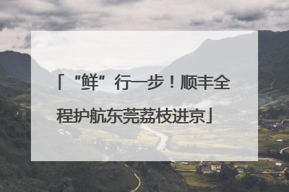 “鲜”行一步！顺丰全程护航东莞荔枝进京