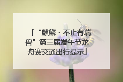 “麒麟・不止有瑞兽”第三届端午节龙舟赛交通出行提示