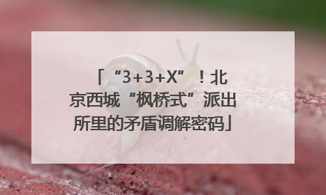 “3+3+X”！北京西城“枫桥式”派出所里的矛盾调解密码