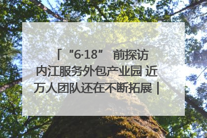 “6·18” 前探访内江服务外包产业园 近万人团队还在不断拓展｜内江东兴“红”在哪⑤
