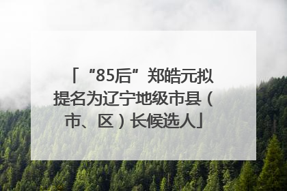 “85后”郑皓元拟提名为辽宁地级市县（市、区）长候选人