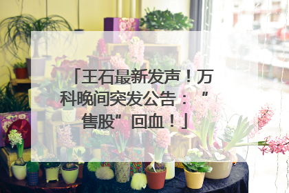 王石最新发声！万科晚间突发公告：“售股”回血！